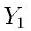 Y_1